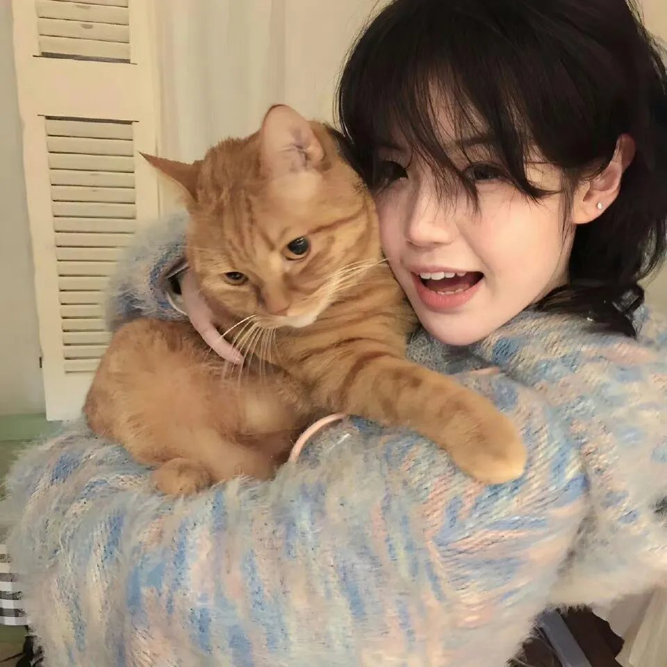 巴黎夜猫